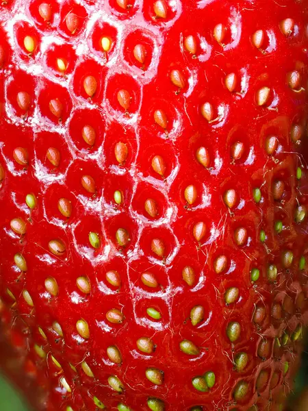 Tohumları gösteren kırmızı olgun çileğe (Fragaria ananassa) yakın çekim. Taze meyve dokusunun detaylı yüzey makro görüntüsü. Organik tarım, sağlıklı yiyecekler, BIO videoları, doğa konseptine dönüş..