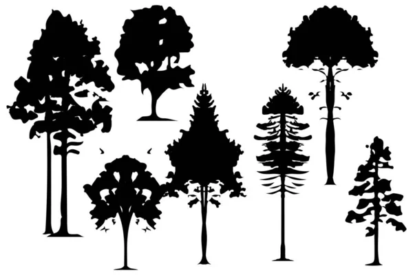 Дерева Лісові Силуети Набір Ізольовані Векторні Ілюстрації — стоковий вектор