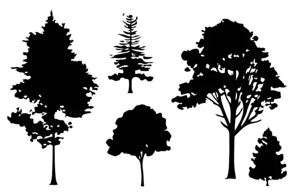 Stromy Lesní Siluety Nastavit Izolované Vektorové Ilustrace — Stockový vektor
