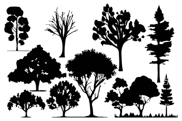 Árboles Siluetas Forestales Conjunto Ilustración Vectorial Aislado — Vector de stock