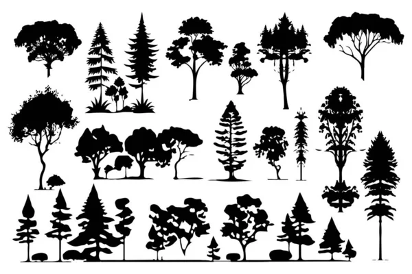 Деревья Лесные Силуэты Устанавливают Изолированные Векторные Иллюстрации — стоковый вектор