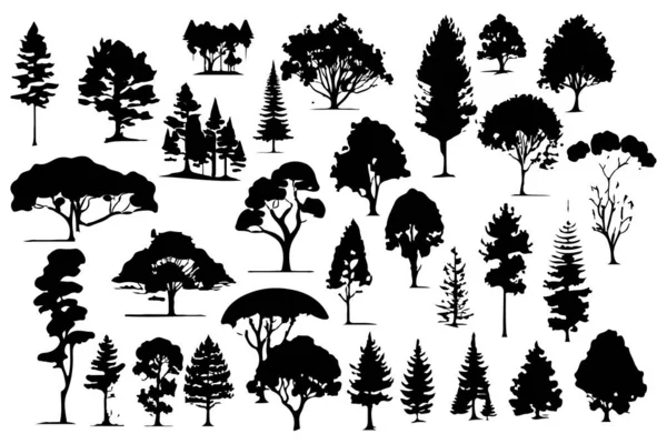 Árvores Silhuetas Florestais Conjunto Ilustração Vetorial Isolado — Vetor de Stock