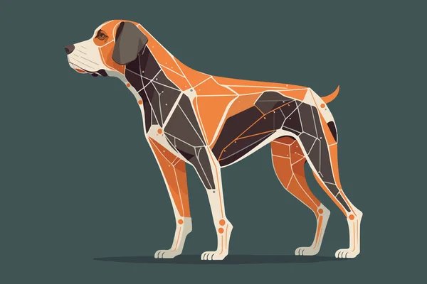 Векторная Иллюстрация Анатомии Собак — стоковый вектор