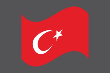 Türkiye bayrağı, Türkiye bayrağı, Türkiye Bayrağı ulusal ülke sembolü Vektör, Dikdörtgen Türkiye bayrağı illüstrasyonu, Düz vektör illüstrasyonu