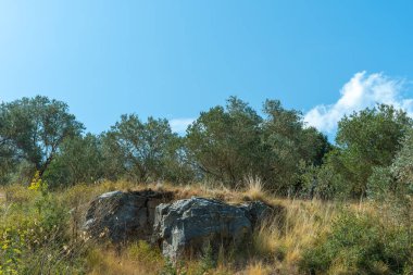 Denizin, dağların, kayaların, plajların, adaların ve Yunanistan 'ın farklı yerlerinden gökyüzünün manzarası.