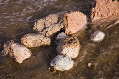 Nehir kıyısında yakıt birikintileri. Kirlilik. Ekolojik felaket.