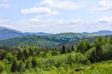 Güneşli yaz gününde dağ manzarası. Karpat Dağları.