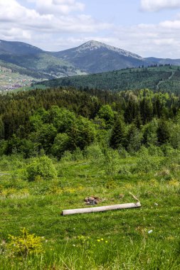 Güneşli yaz gününde dağ manzarası. Karpat Dağları.