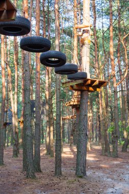 Ormandaki ipe tırmanma parkı. İp yolu. 