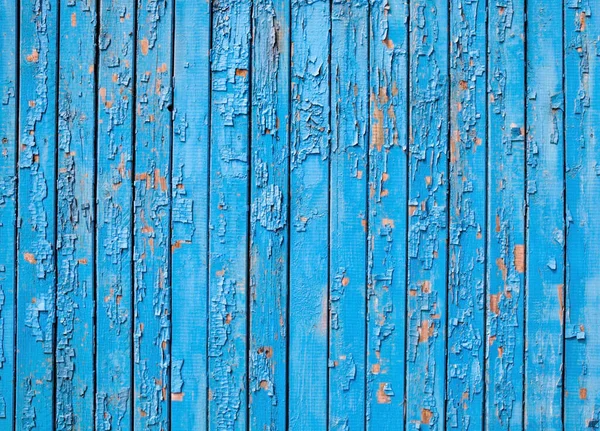 stock image Old wooden surface with cracked blue oil-paint.