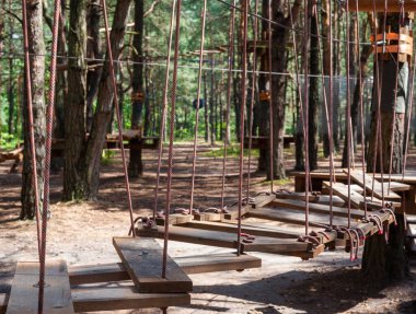 Ormandaki ipe tırmanma parkı. İp yolu. 