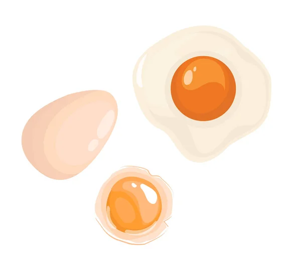 鶏の卵 全卵と壊れた卵 — ストックベクタ