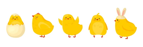 Карикатура Пасхальных Цыплят Милые Забавные Маленькие Цыпочки Шляпе Кролика Уши — стоковый вектор