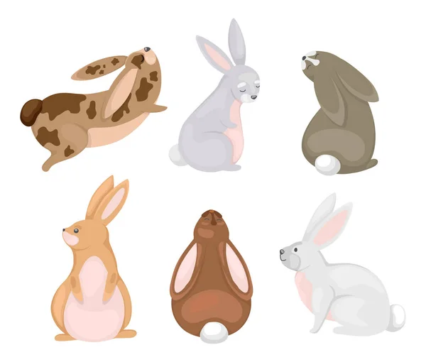 Çizgi Film Tarzında Şirin Tavşanlar Tavşan Silueti Farklı Pozlarda Renkli — Stok Vektör