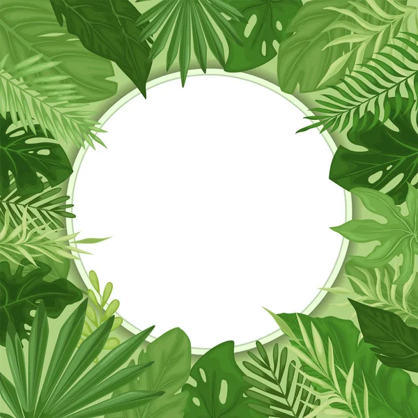 Feuilles Tropicales Dans Cadre Rond Affiche Exotique Modèle Vecteur Flyer — Image vectorielle