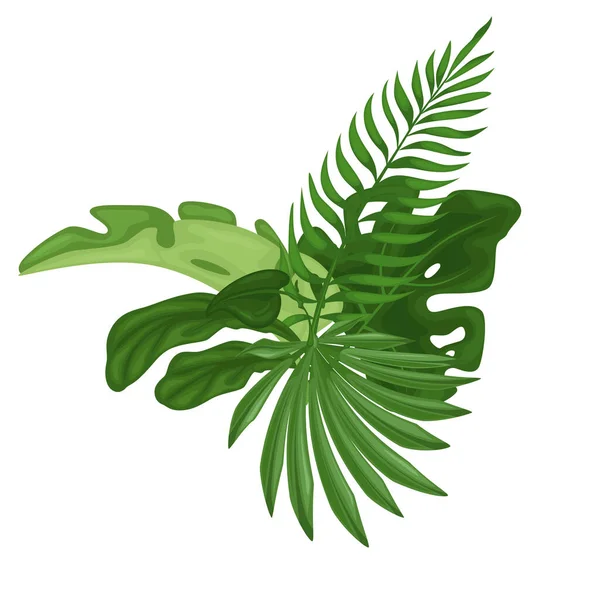 stock vector Green tropical leaves. The composition showcases a variety of lush foliage depicting palm leaves, ferns, banana leaves and monstera leaves.