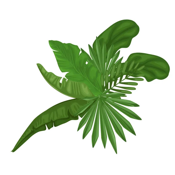 Zielone Liście Tropikalne Kompozycja Prezentuje Różnorodne Bujne Liście Przedstawiające Liście — Wektor stockowy