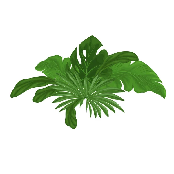 Πράσινα Τροπικά Φύλλα Σύνθεση Παρουσιάζει Μια Ποικιλία Από Πλούσια Φυλλώματα — Διανυσματικό Αρχείο