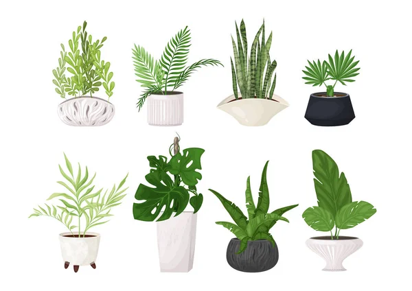 Set Indoor Tropical Plants Fashionable Pots Home Various Stylish Houseplants — Stock Vector