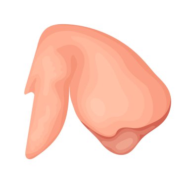 Et ürünü, vektör biçiminde ham tavuk kanadı izole edilir.