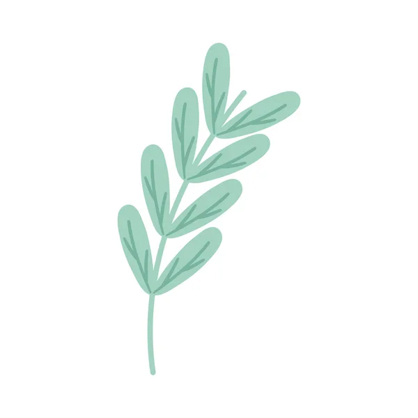 Grünes Blatt Symbol Auf Weißem Hintergrund — Stockvektor