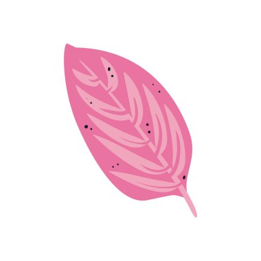 Düz pembe yaprak beyaz üzerine