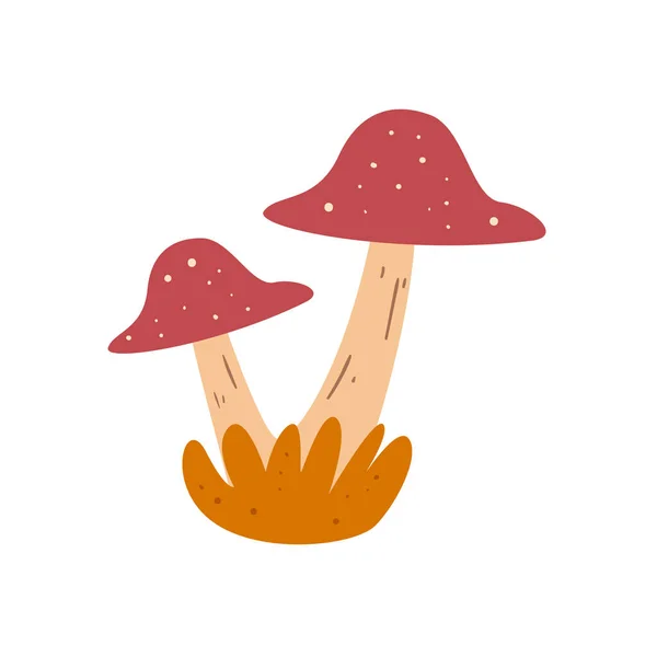 白色上的扁平蘑菇设计 — 图库矢量图片