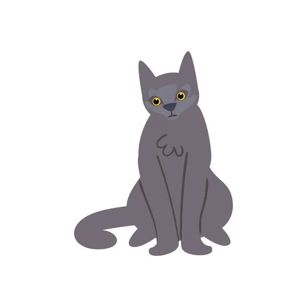 白い上に平らな灰色の猫 — ストックベクタ