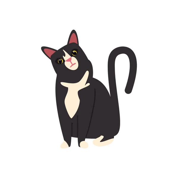 Плоский Чорно Білий Кіт Ізольований Значок — стоковий вектор