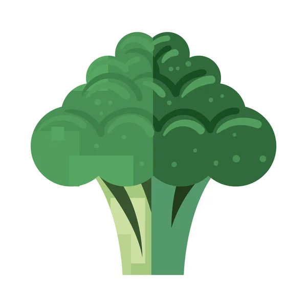Flat Broccoli Design White — Vettoriale Stock