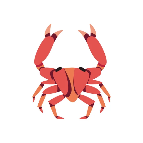 Flachfarbige Krabbe Über Weiß — Stockvektor