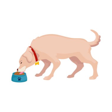 Beyaz üzerinde tatlı köpek yiyor.