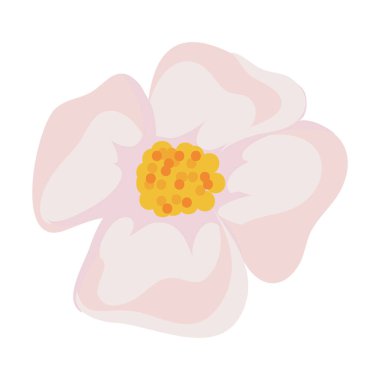 colored flower design over white