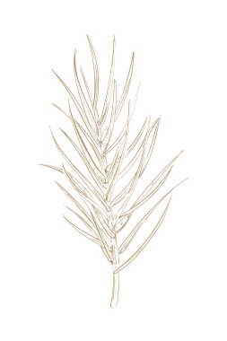 beyaz üzerine bitki dalı silueti