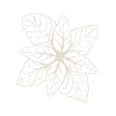 Beyaz üzerine ökseotu silueti tasarımı