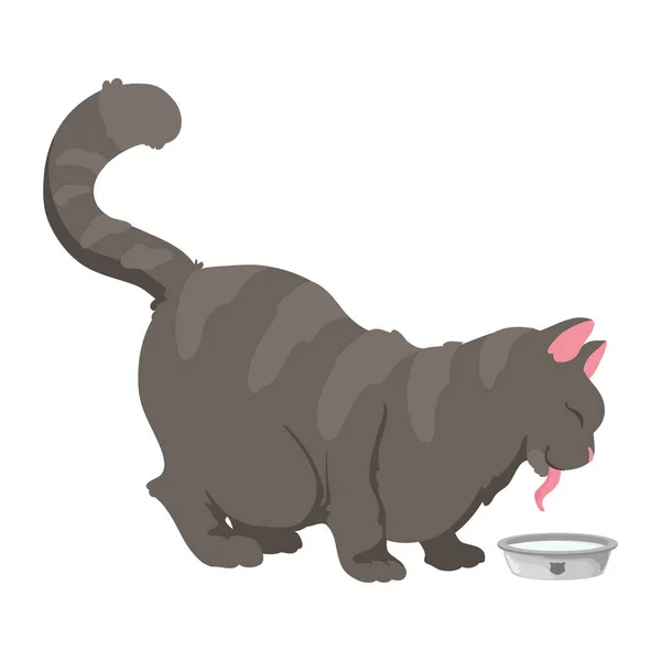 Chat Mignon Manger Sur Blanc — Image vectorielle