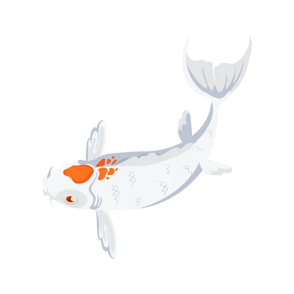 Roztomilý Koi Ryba Přes Bílou — Stockový vektor