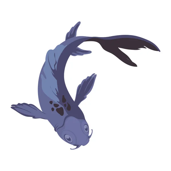 Blue Koi Fish White — Stock Vector