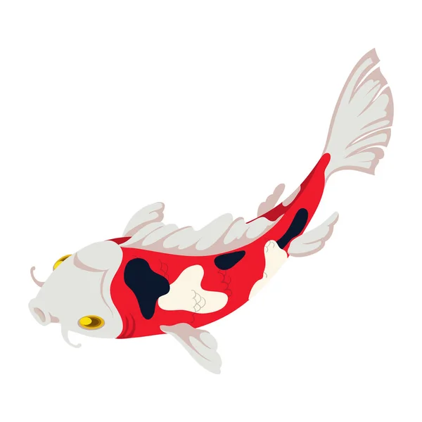 Peixes Koi Coloridos Sobre Branco — Vetor de Stock