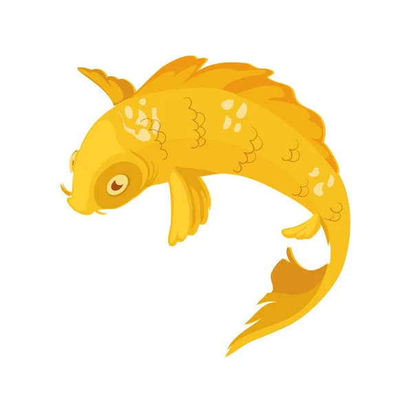 Žlutá Ryba Koi Přes Bílou — Stockový vektor