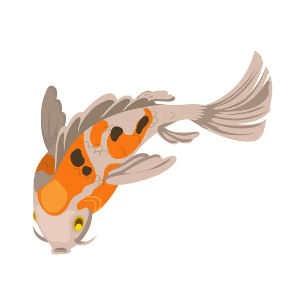 Oranžová Ryba Koi Přes Bílou — Stockový vektor