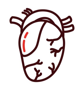 Beyaz arka plan üzerinde insan kalp simgesi