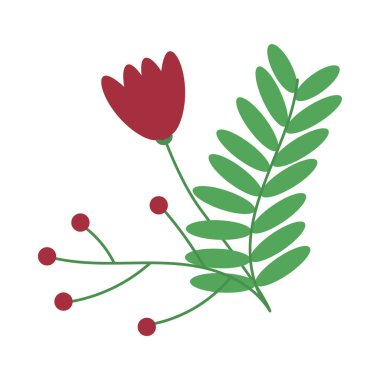 Çiçekli böğürtlenli dal