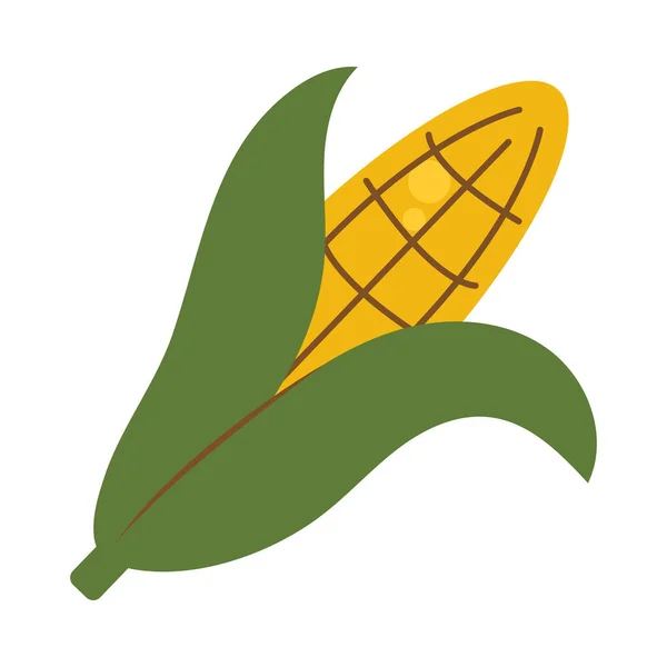 Kukorica Cob Ikon Fehér Háttér — Stock Vector