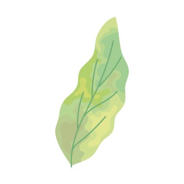 Beyaz arkaplanda yeşil yaprak simgesi