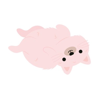 Beyaz arka planda pembe sevimli kedi