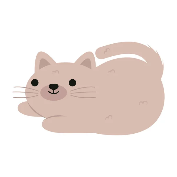 Cartoon Cat Icon White Background — Stock Vector