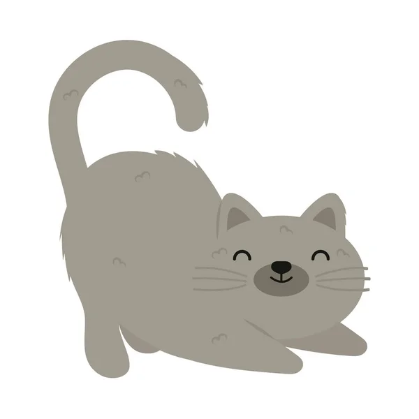 Γκρι Άνετο Γάτα Λευκό Φόντο — Διανυσματικό Αρχείο