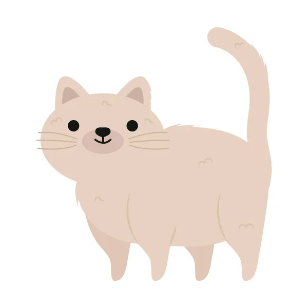 Beyaz Arkaplanda Sevimli Kedi Simgesi — Stok Vektör
