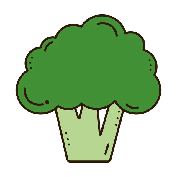 Icona Dei Broccoli Verdi Sfondo Bianco — Vettoriale Stock